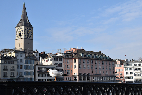 Zürich: Altstadt an der Limmat mit St. Peter-Kirch