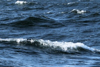 Bei gutem Wind und moderaten Wellen überqueren wir die Ostsee.